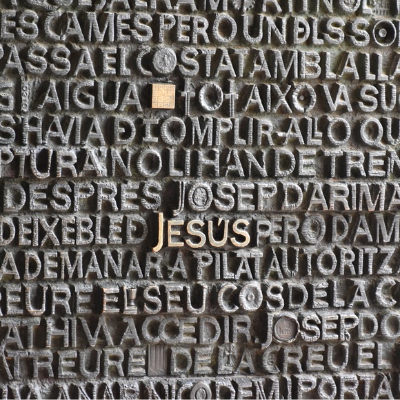 Forever Fern - Take a look at all the amazing items in this closet collection! - Picture 5 of 14